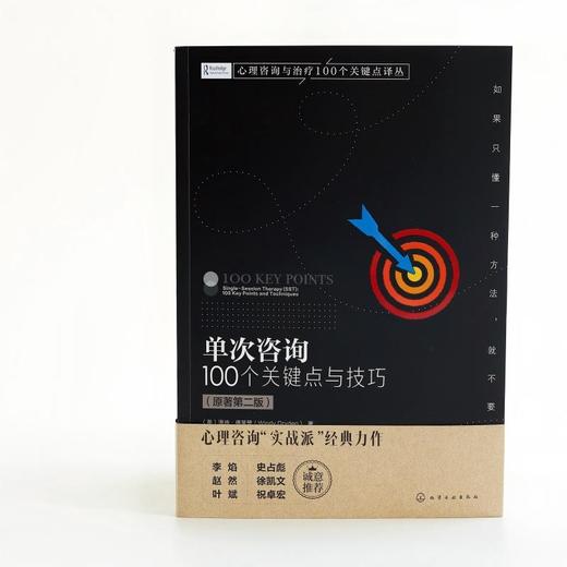 单次咨询：100 个关键点与技巧（原著第二版） 商品图1