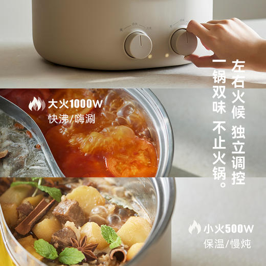 olayks立时不锈钢6升大容量电火锅家用鸳鸯双区双控多功能 商品图2