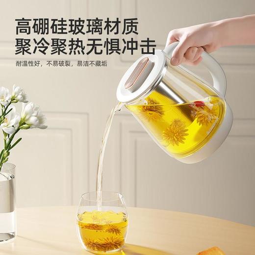 志高养生壶全自动加厚玻璃多功能煮茶器电热烧水壶花茶壶煎药壶 商品图3