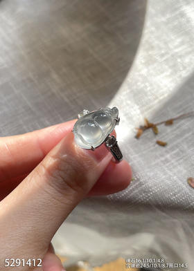 5291412，福豆吊坠戒指两用款。具体价格微信咨询