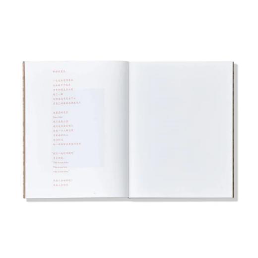 马海伦「乌鲁克林」摄影集 商品图6