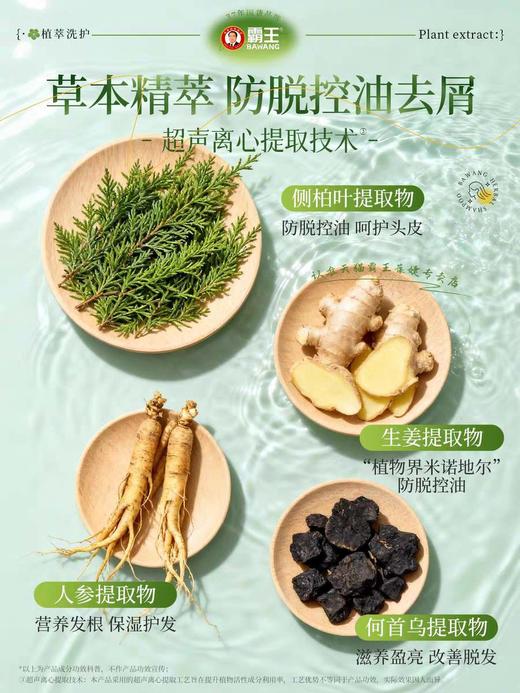 霸王育发防脱洗发液生姜防脱发去屑控油蓬松洗发露育发洗发液380ml效期29年4月（外包装日期轻微挤压变形） 商品图4