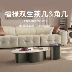 顾家家居整装 意式轻奢 茶几角几PT2166TD/TB