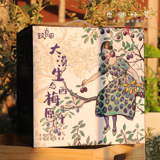 生态西梅干、生态西梅原汁（基地直发-顺丰包邮）|多种规格，来自内蒙古阿拉善大漠，生产者：马彦伟【合作生产，公平贸易】 商品图6