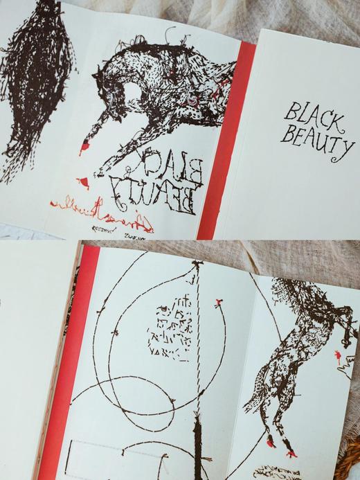 黑骏马·10周年纪念版（浮雕印刷封面毛边书）【企鹅手绣10周年纪念版系列中唯一且绝版】 商品图4