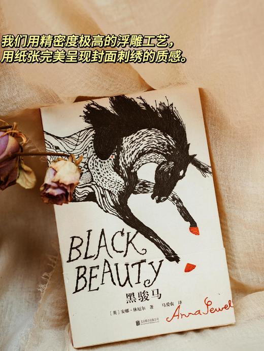 黑骏马·10周年纪念版（浮雕印刷封面毛边书）【企鹅手绣10周年纪念版系列中唯一且绝版】 商品图0