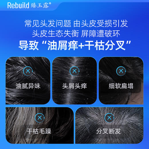 免费试用！【每购1瓶送价值49元同款100ml1瓶试用，多买多送】臻玉露Rebuild生姜氨基酸润养洗发露、护发精华乳、润肤沐浴露 商品图2
