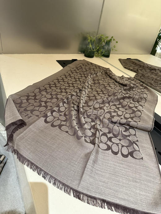 秋冬特惠💰320 蔻驰经典款围巾/大披肩 商品图3