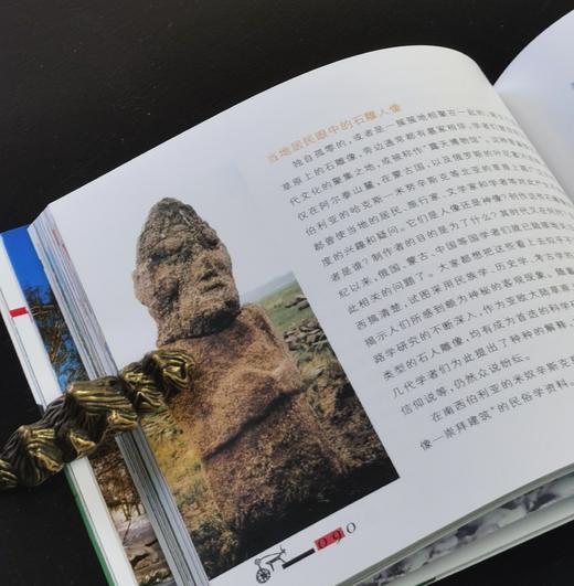 【绝版】《草原民族文化的灵魂：新疆草原文化遗址考察》，24开平装，铜版彩印，张平编著，新疆人民出版社2006年一版一印，232面，定价38.8元，售价30元。 商品图10