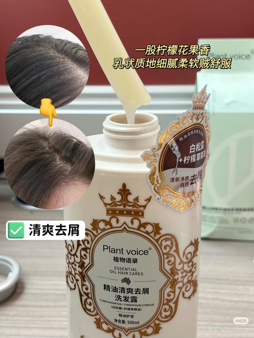 植物语录精油清爽去屑洗发露500ml效期27年3月（泵头轻微破损） 商品图4