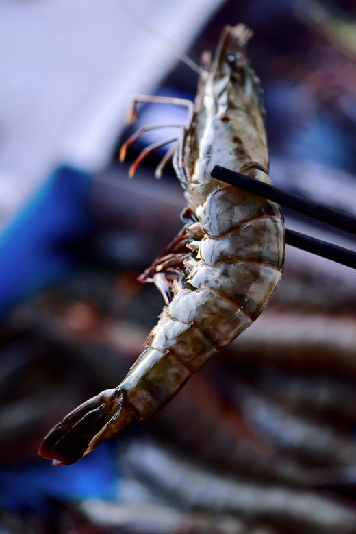 正大泰国黑虎虾 商品图1