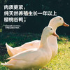 （3袋装）南京冠生园鸭血粉丝汤（倍香版）选用饲养365天以上老鸭制作 秘制食材包浓郁鲜香 商品缩略图5