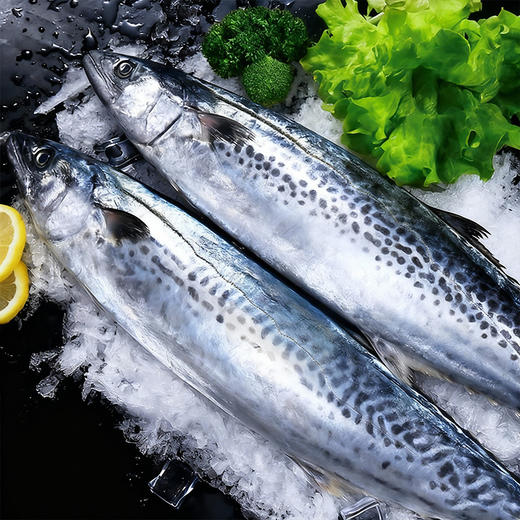 【广东好物】鲜捕马鲛鱼  500g/袋 商品图4