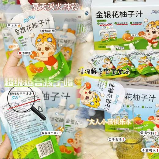 南园国色  金银花柚子汁 儿童零食 商品图3