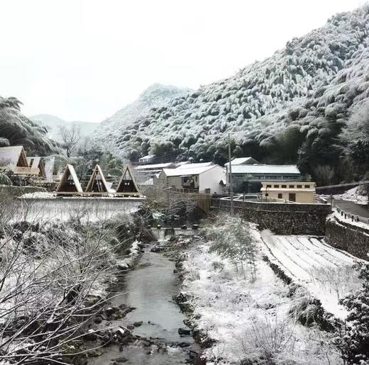 【浙江余姚】树蛙部落寒假早鸟直降特惠套餐3天2晚 竹海冬塾 商品图2