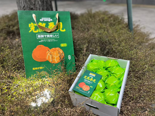 春见🧐又到一年甜蜜春见时刻🍊——春见耙耙柑一直做顶尖🍊的领头羊口感自然是没的说[色]超完美💯 商品图2