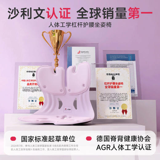 BKT护腰坐垫座椅靠背人体工学腰靠工位久坐神器办公腰部支撑靠垫 商品图1