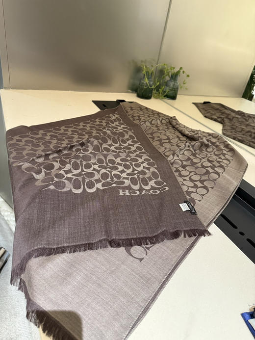 秋冬特惠💰320 蔻驰经典款围巾/大披肩 商品图4