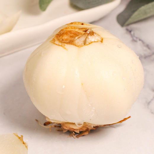 甘肃兰州  鲜百合  六年生  多规格任选 商品图4