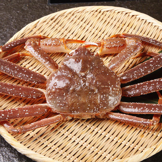 【顺丰快递】俄罗斯进口雪蟹礼盒 纯净冷水海域 壳薄肉厚 肉质细嫩 鲜味浓郁 清甜多汁 口感纯正 营养丰富 商品图2