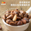 【甄选】内购西域美农原色松子500g（送夹子） 2025新货松子 配料干净 松香浓郁 商品缩略图7