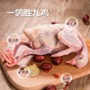 【1只装】自提-5~6两/只（不含内脏）天翔达 新鲜现杀-农家散养活力乳鸽 真空冷链锁鲜发货   JHA031-1 商品缩略图1