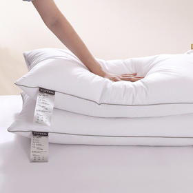 【春上新】10楼宜庭 零感释压白鹅枕     吊牌价999元  活动价199元/对