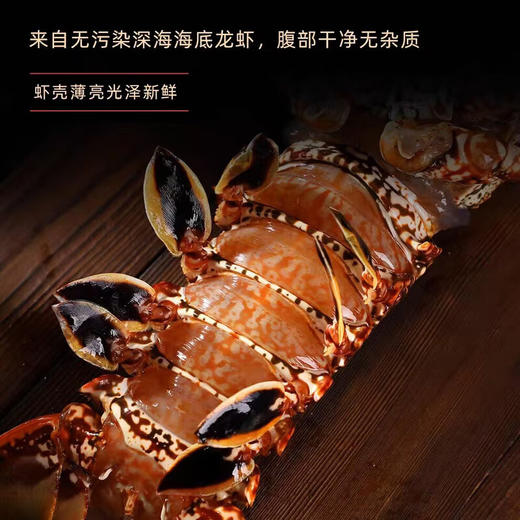 【顺丰快递】活冻古巴大龙虾礼盒 精挑细选 体大壳薄 肉质饱满 深海捕捞 鲜活速冻 鲜嫩可口 BHFT 商品图3