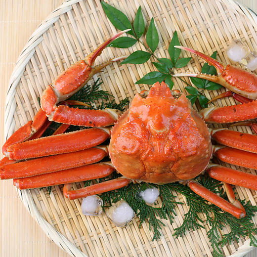 【顺丰快递】俄罗斯进口雪蟹礼盒 纯净冷水海域 壳薄肉厚 肉质细嫩 鲜味浓郁 清甜多汁 口感纯正 营养丰富 商品图4