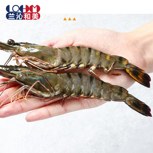马来西亚黑虎虾  2kg（1KG*2）-L 商品图4