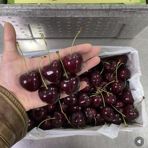 新西兰亚尼士黑车，冰鲜空运，还原最佳口感，2J   1KG/盒 商品图0