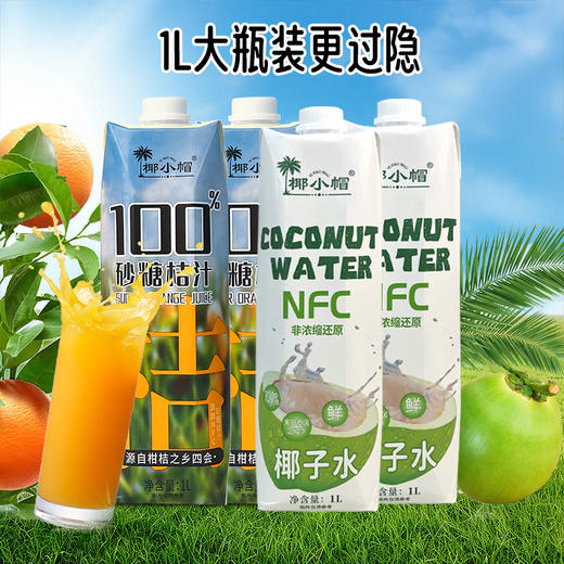 【美味饮品丨 椰小帽果汁礼盒】甄选进口香水椰源 ，椰肉饱满，汁液甘甜，砂糖桔汁，源自柑橘之乡四会，口感清新爽口，果味浓郁，烧烤聚会撸串好搭子~ 商品图4