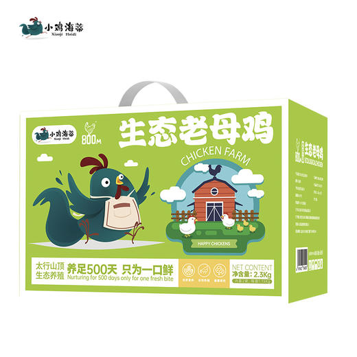 小鸡海蒂·太行山生态老母鸡2只装 2.3kg 商品图6