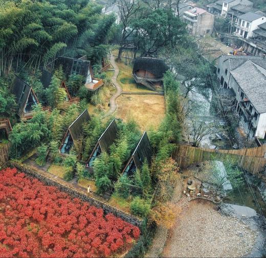 【浙江余姚】树蛙部落寒假早鸟直降特惠套餐3天2晚 竹海冬塾 商品图4