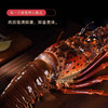 【顺丰快递】活冻古巴大龙虾礼盒 精挑细选 体大壳薄 肉质饱满 深海捕捞 鲜活速冻 鲜嫩可口 BHFT 商品缩略图1