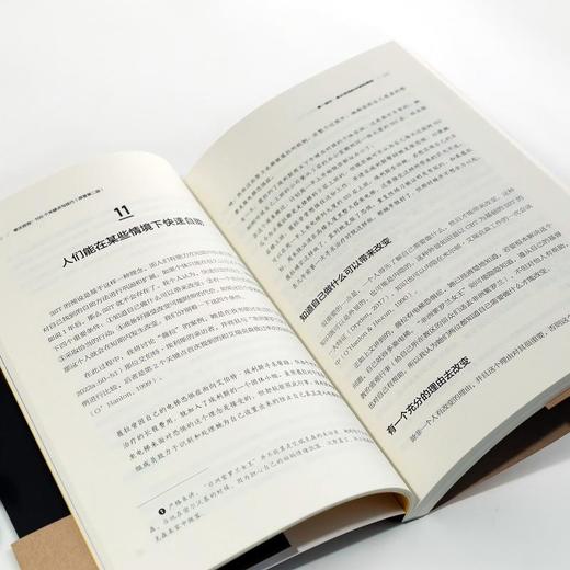 单次咨询：100 个关键点与技巧（原著第二版） 商品图5