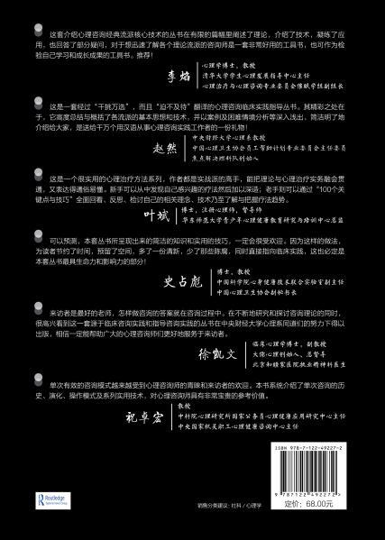 单次咨询：100 个关键点与技巧（原著第二版） 商品图6