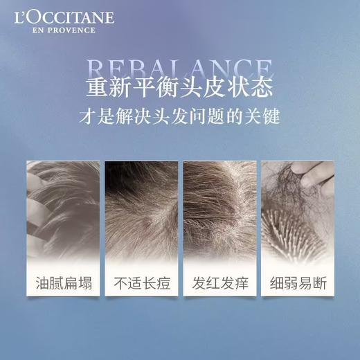 欧舒丹L’occitane草本洗发水护发素 去屑控油多规格 商品图5