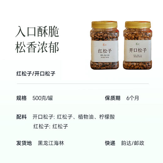 食养节【任意2罐减20元！】【特大颗  东北松子】850规格 坏籽少~ 商品图2