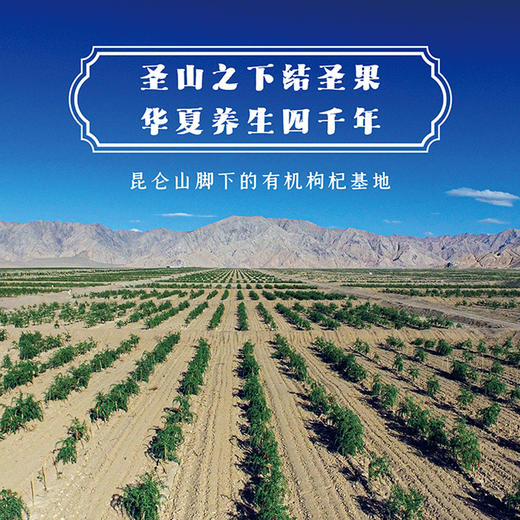 基地直发-钻石红有机枸杞原汁（30ml*10袋装） 商品图5