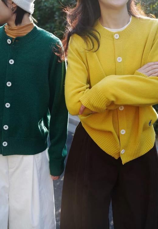 【时髦这件事要上高度】多彩全羊毛开衫！2026特细美丽奴羊毛开衫！ 商品图3