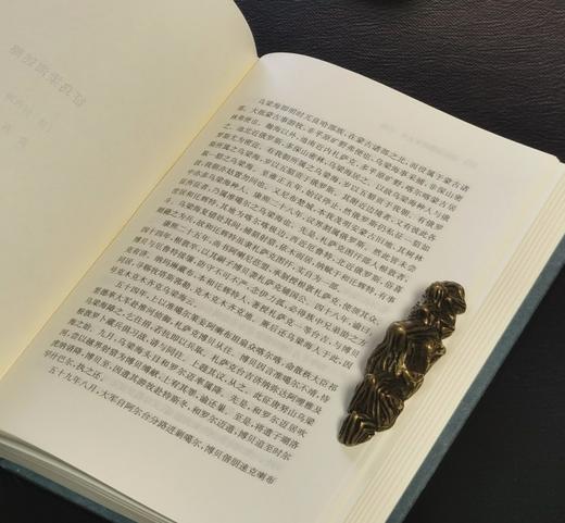 【特惠】《清代新疆政务丛书》，精装，32开，全5册，郭院林主编，凤凰出版社2019年一版一印，3092面，定价480，售价108元。 商品图12