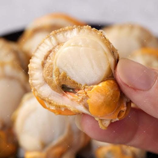 【栉孔扇贝肉】零冰衣！每个都是满膏和满黄状态！口感是那种鲜嫩鲜嫩的，甜甜的鲜味！ 商品图1
