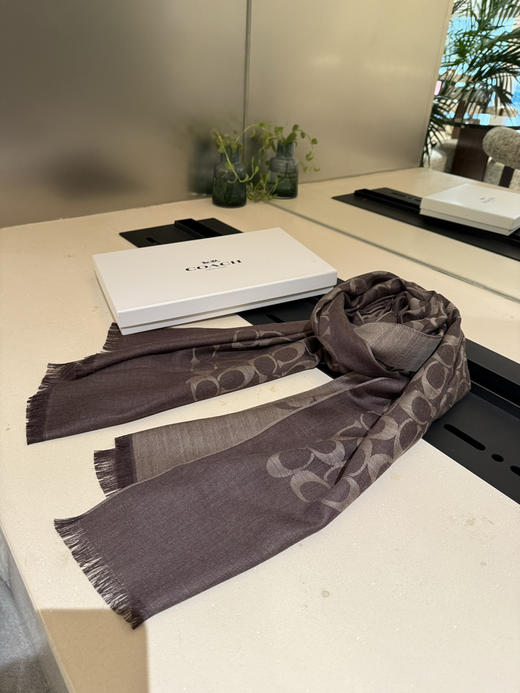 秋冬特惠💰320 蔻驰经典款围巾/大披肩 商品图5