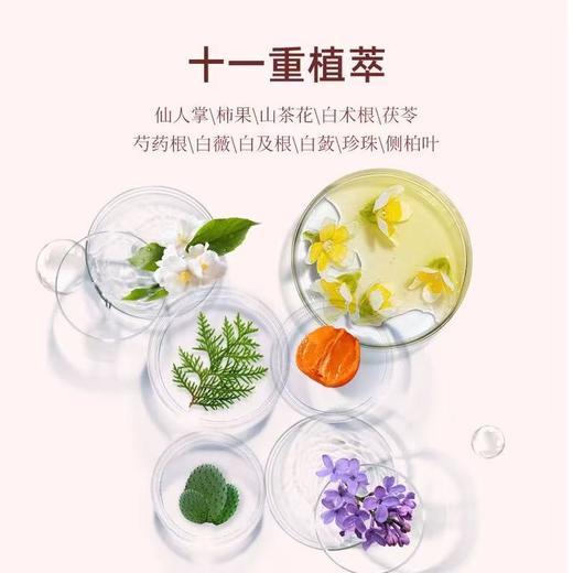 EcoBasics大地之光魅力香氛植萃洗发水沐浴露护发素润肤酒店专用 商品图3