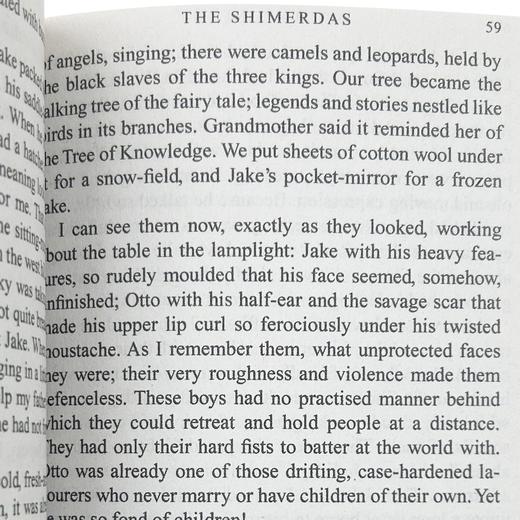 华研原版英文小说 My Antonia (Bantam Classic) 我的安东尼娅 英文版 商品图4