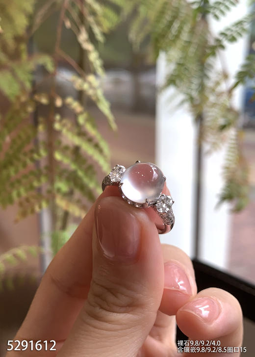 5291612、蛋面戒指。具体价格微信咨询 商品图0