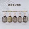 EcoBasics人间橘柚香氛植萃洗发水沐浴露护发素润肤酒店专用同款 商品缩略图4