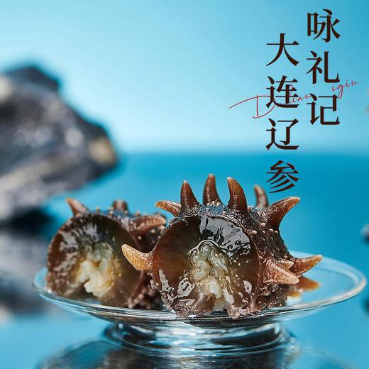 【咏礼记大连辽刺参】大连深海底播 天生天养 刺粗肉厚 Q弾软糯 开袋即食，不挂冰的好海参 单单送鲍汁 送虾皮 大连原产地冷链包邮直达！ 商品图2