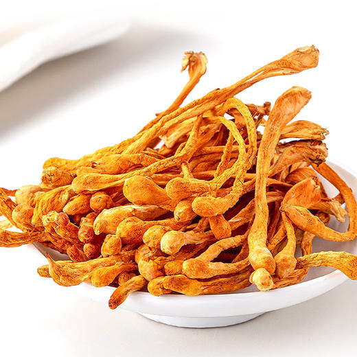 东山岛丨虫草花  100g 商品图1